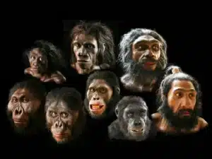 В миналото сме били шест: защо Homo sapiens е останал единственият вид човек на Земята